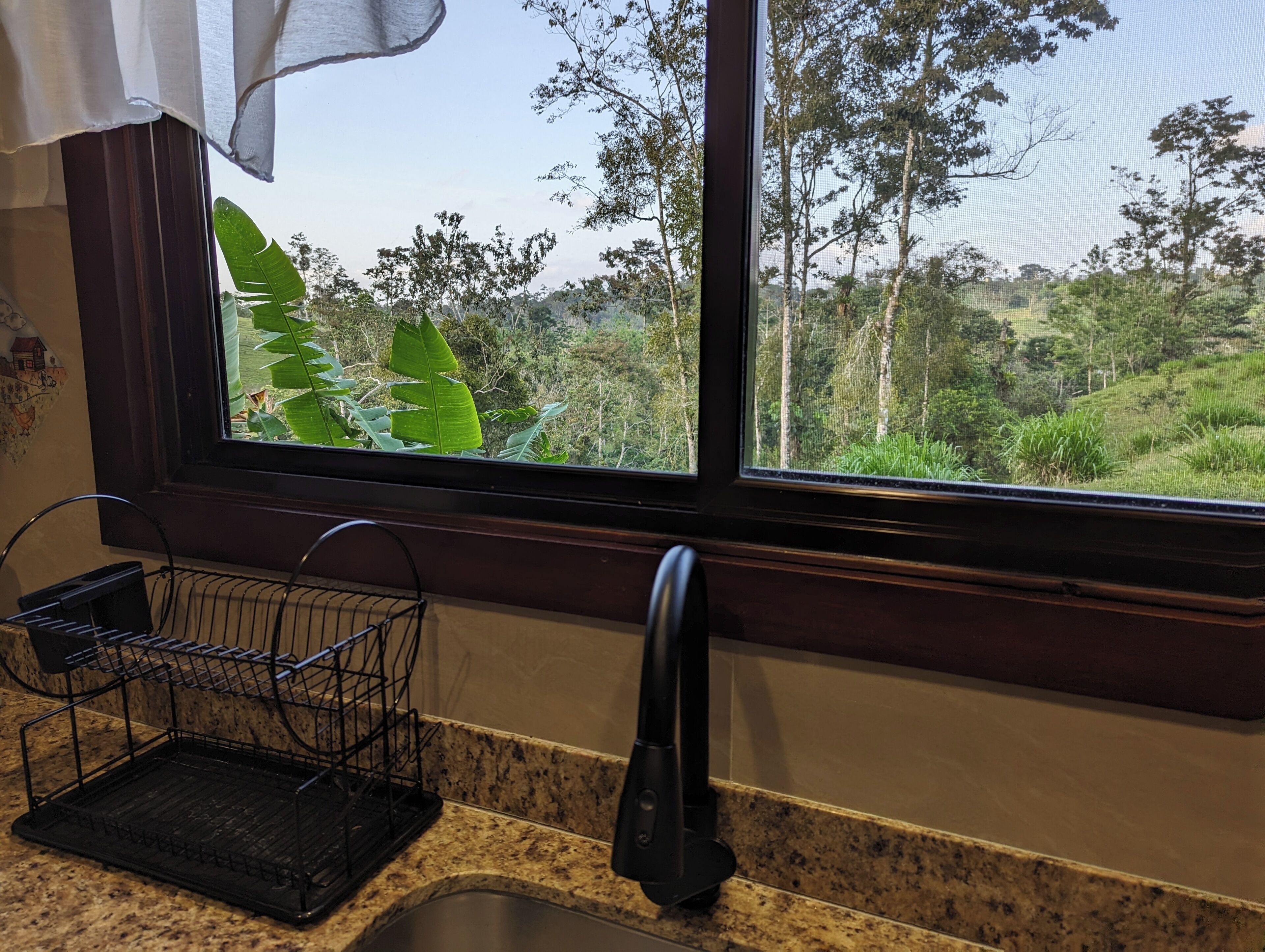 Una cocina con encimera de granito, un lavamanos, una ventana con vista a un bosque y un escurreplatos negro.