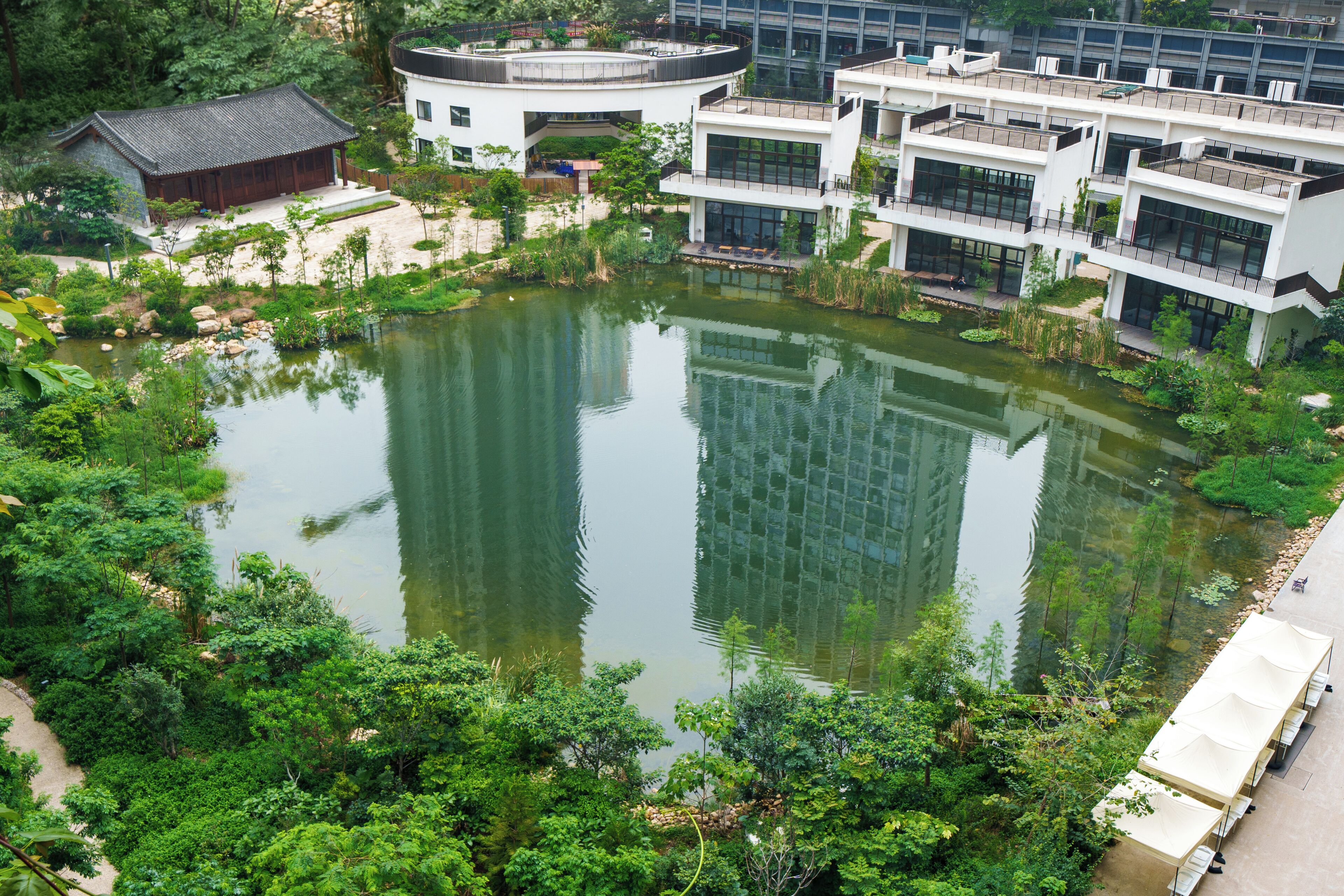 Un moderno complejo de edificios con un estanque central rodeado de abundante vegetación.