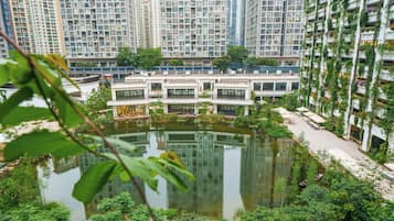 Quang cảnh từ phòng