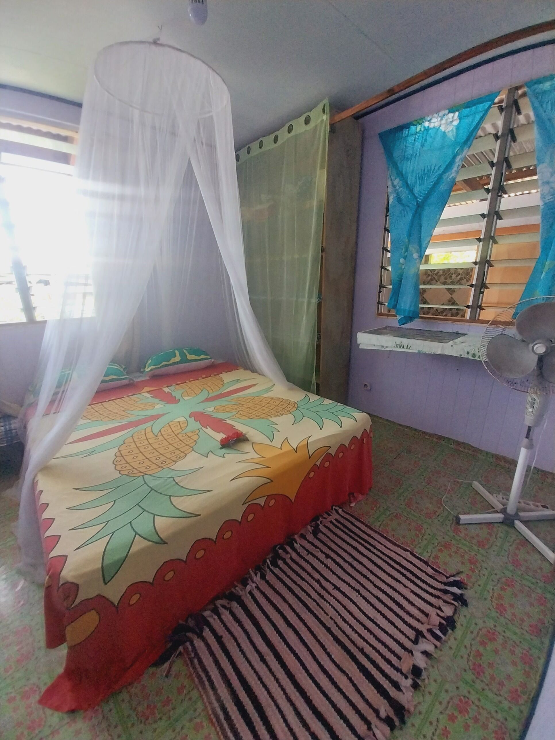 A room with a bed under a mosquito net, a window with blinds, a standing fan, and a patterned rug.