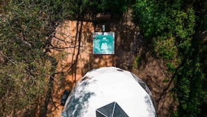 Vista aérea de una estructura en forma de cúpula rodeada de un bosque denso.