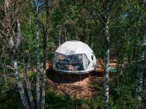 A geodesic dome structure surrounded by trees.