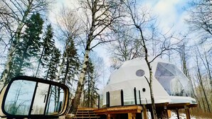 Estructura de domo geodésico en un área boscosa con una terraza de madera y escalones que la conducen.