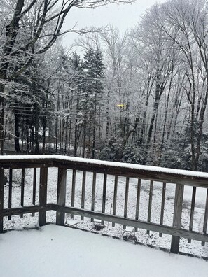 Property grounds - Chalet in the  Green Mountains.  Skiing, hiking, mountain biking.  (Rochester)