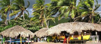 1 Bedroom Blissful Retreat - A/C & Private Garden