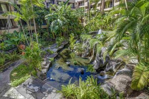 Property grounds - Amazing West Maui Beach Suite (Lahaina)