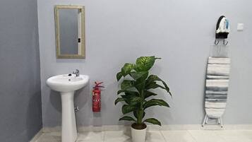Classic House | Bathroom | Shower, rainfall showerhead, hair dryer, bidet
