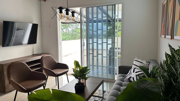 Una sala de estar moderna con un televisor de pantalla plana, dos sillas marrones, un sofá gris y una planta grande.