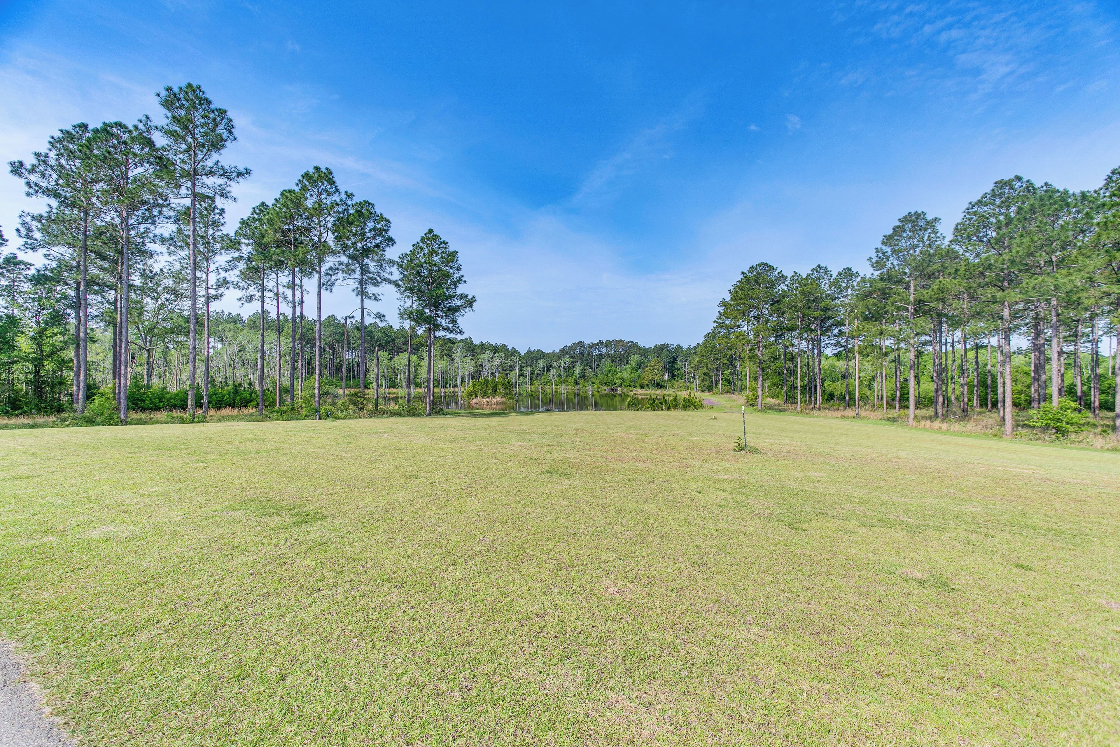 A grassy field with tall trees and a clear blue sky.