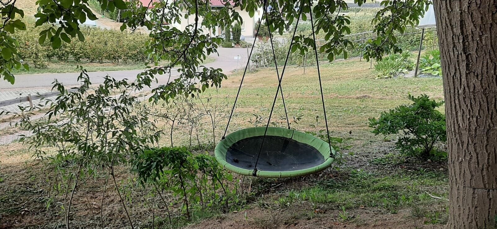 En grön gunga i ett grönområde med träd och en väg i bakgrunden.