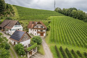 Une maison de campagne dotée d’un panneau solaire, entourée de vignes cultivées en terrasses.