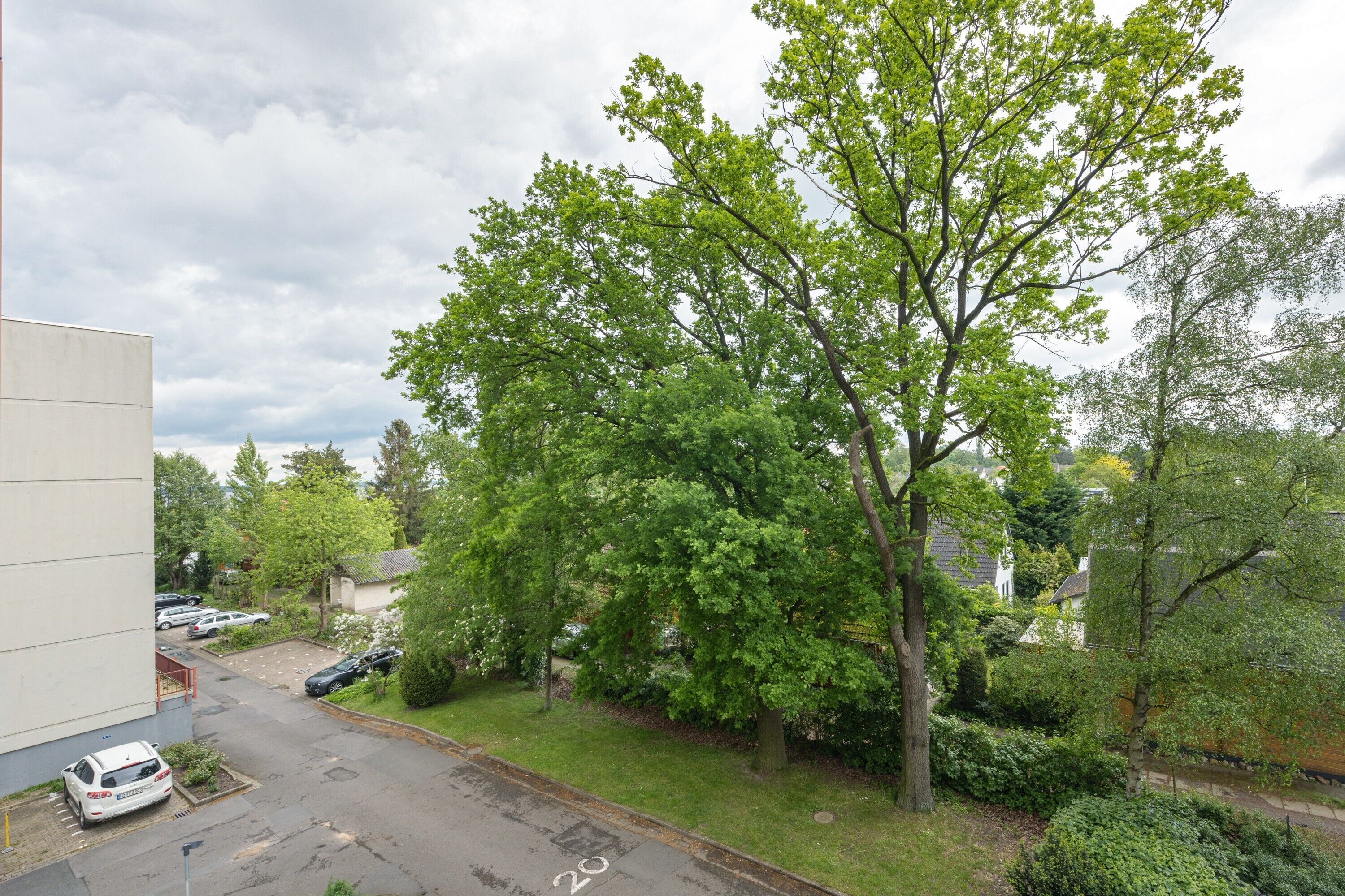 Ein Wohngebiet mit Parkplatz, einem großen Baum und Häusern im Hintergrund.