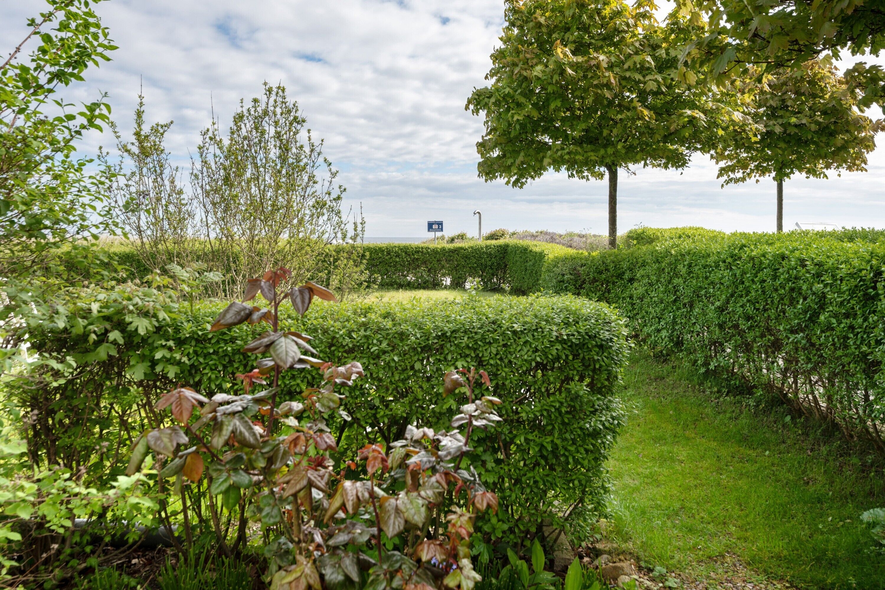 Ein Garten mit Hecke, Baum und einem Schild in der Ferne.