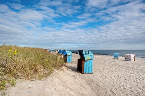 On the beach
