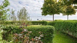Ein Garten mit Hecke, Baum und einem Schild in der Ferne.