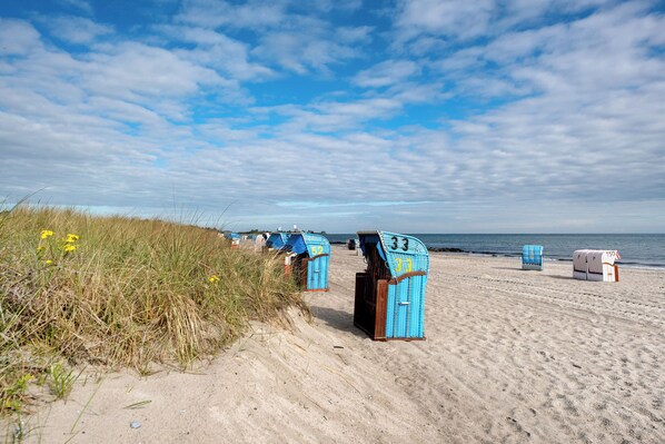 On the beach