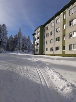 Un immeuble à plusieurs étages, doté d’un toit plat et de grandes fenêtres, entouré d’arbres couverts de neige.