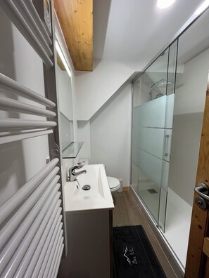 Douche, sèche-cheveux, serviettes fournies, papier toilette