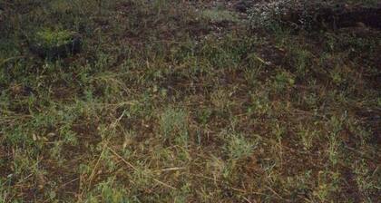 WELCOME AND STAY AT EWASO MAASAI HOMESTAY