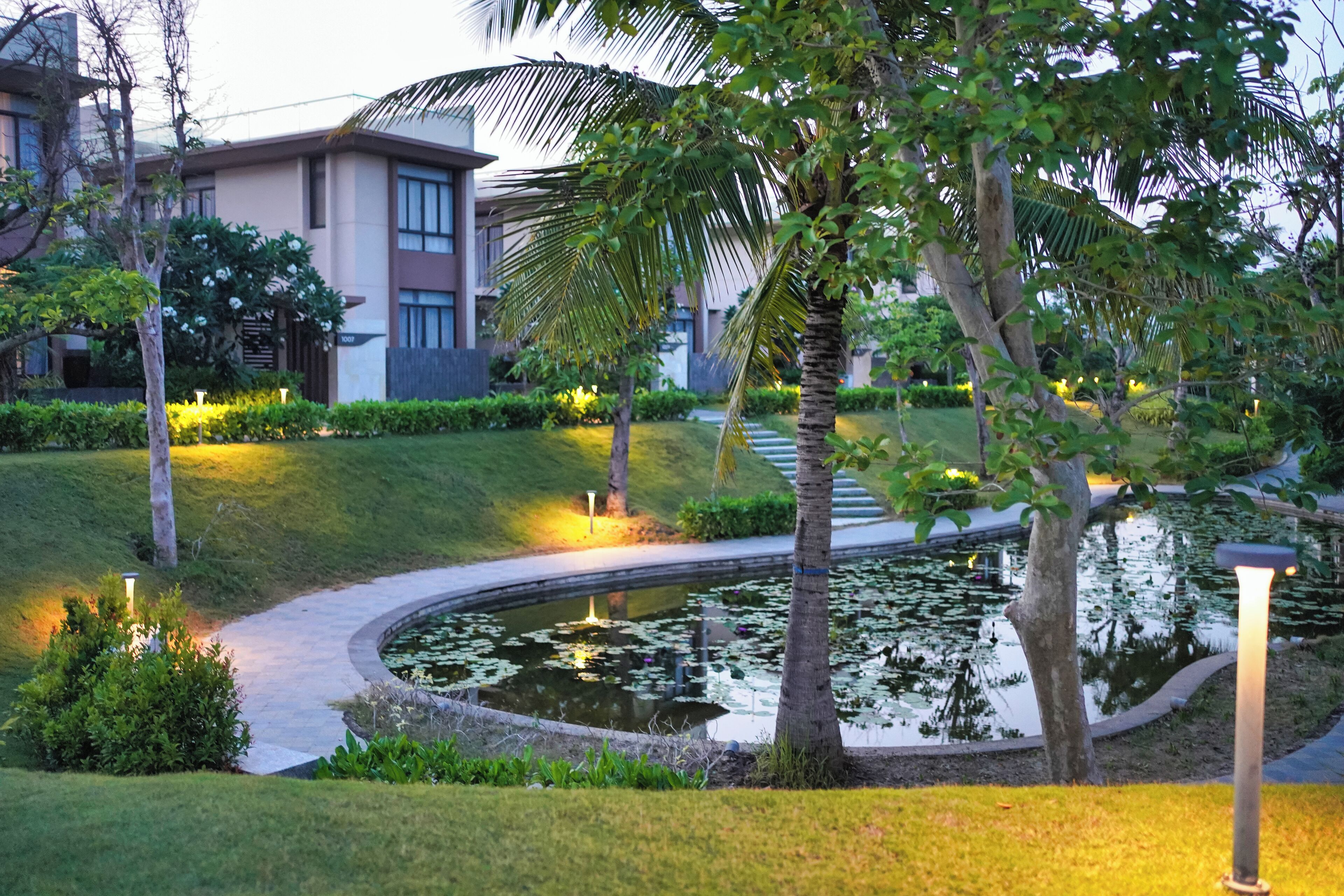 A landscaped garden with a pond, palm trees, and a pathway leading to a building with a modern design.