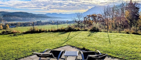 テラス / パティオ