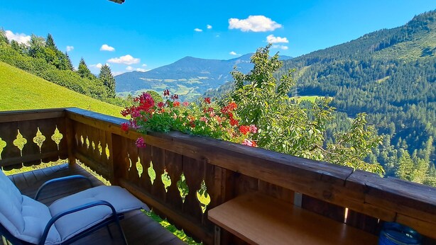 Property grounds - Apartment "wegmo-1" in Ruhiger Höhenlage in Bischofshofen im Salzburger Land (Bischofshofen)