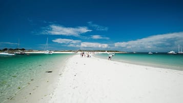 Camastros y toallas de playa