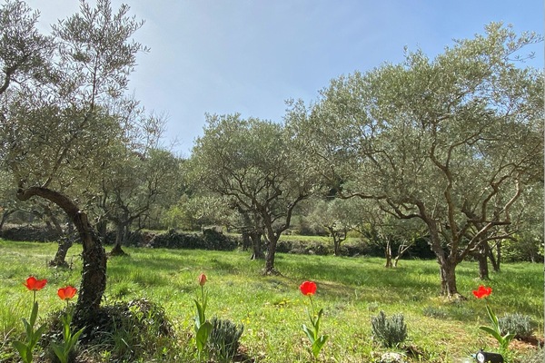 Áreas de la propiedad