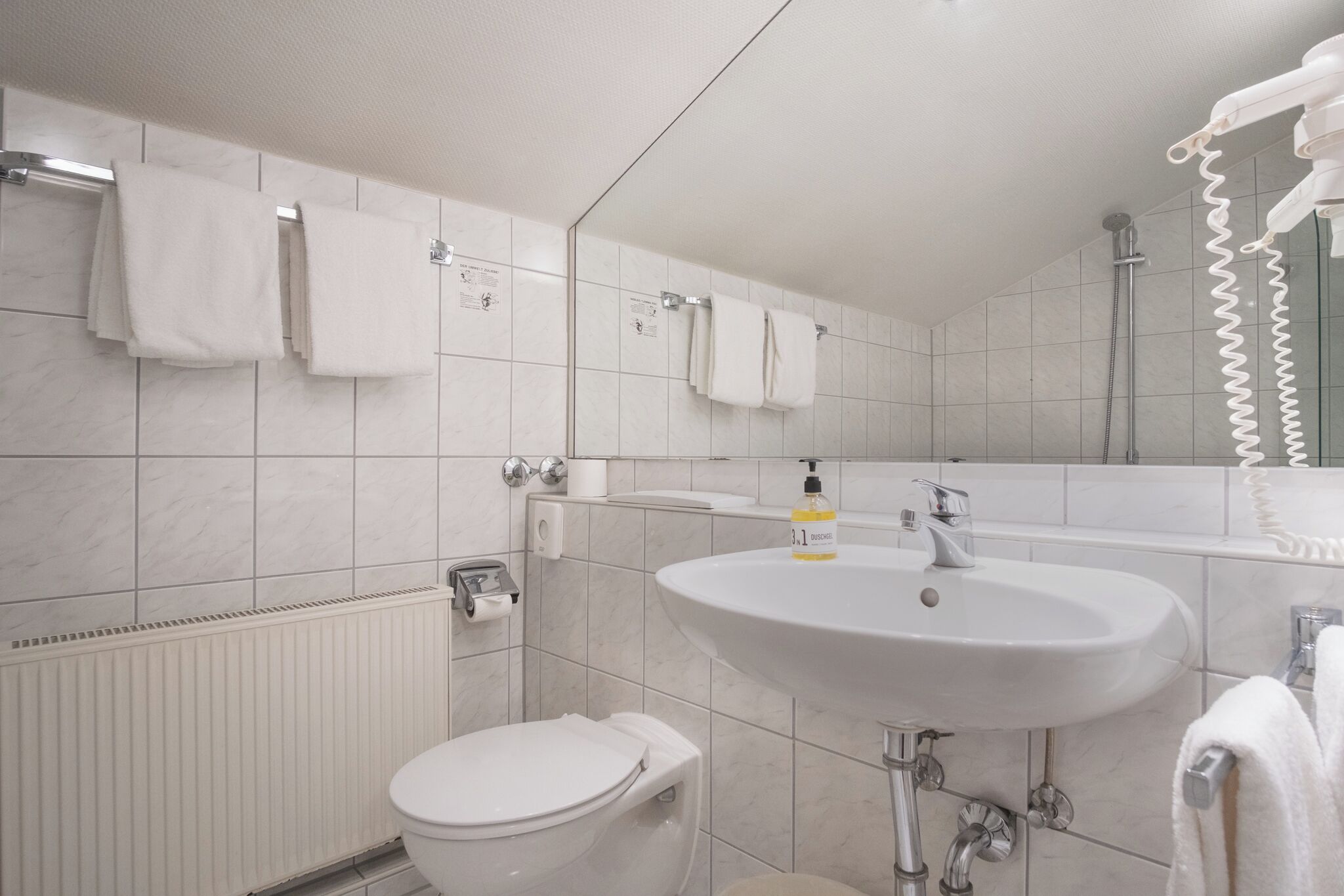 A bathroom with a white toilet, a sink, and a shower.