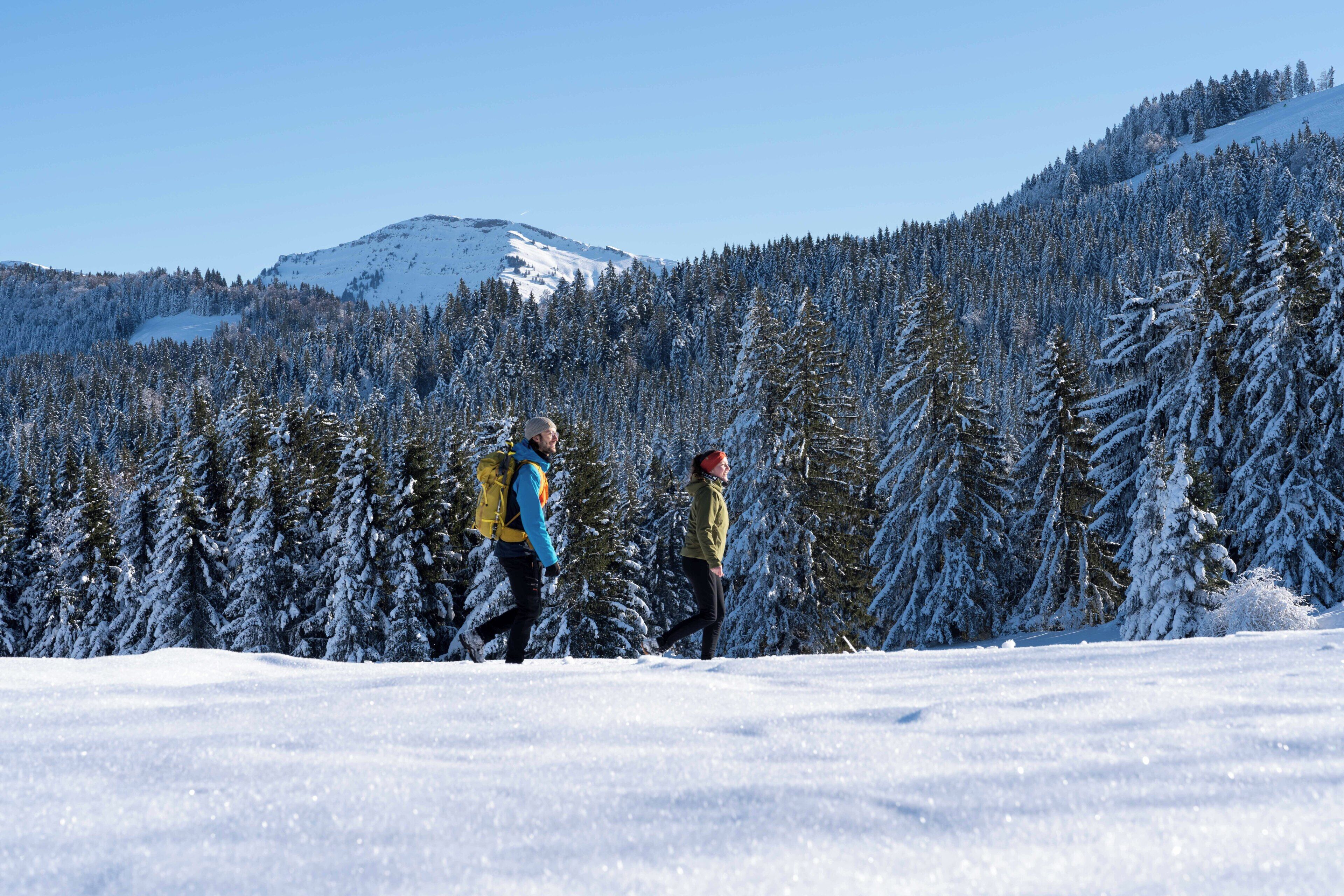 Un paysage enneigé avec une montagne en arrière-plan.