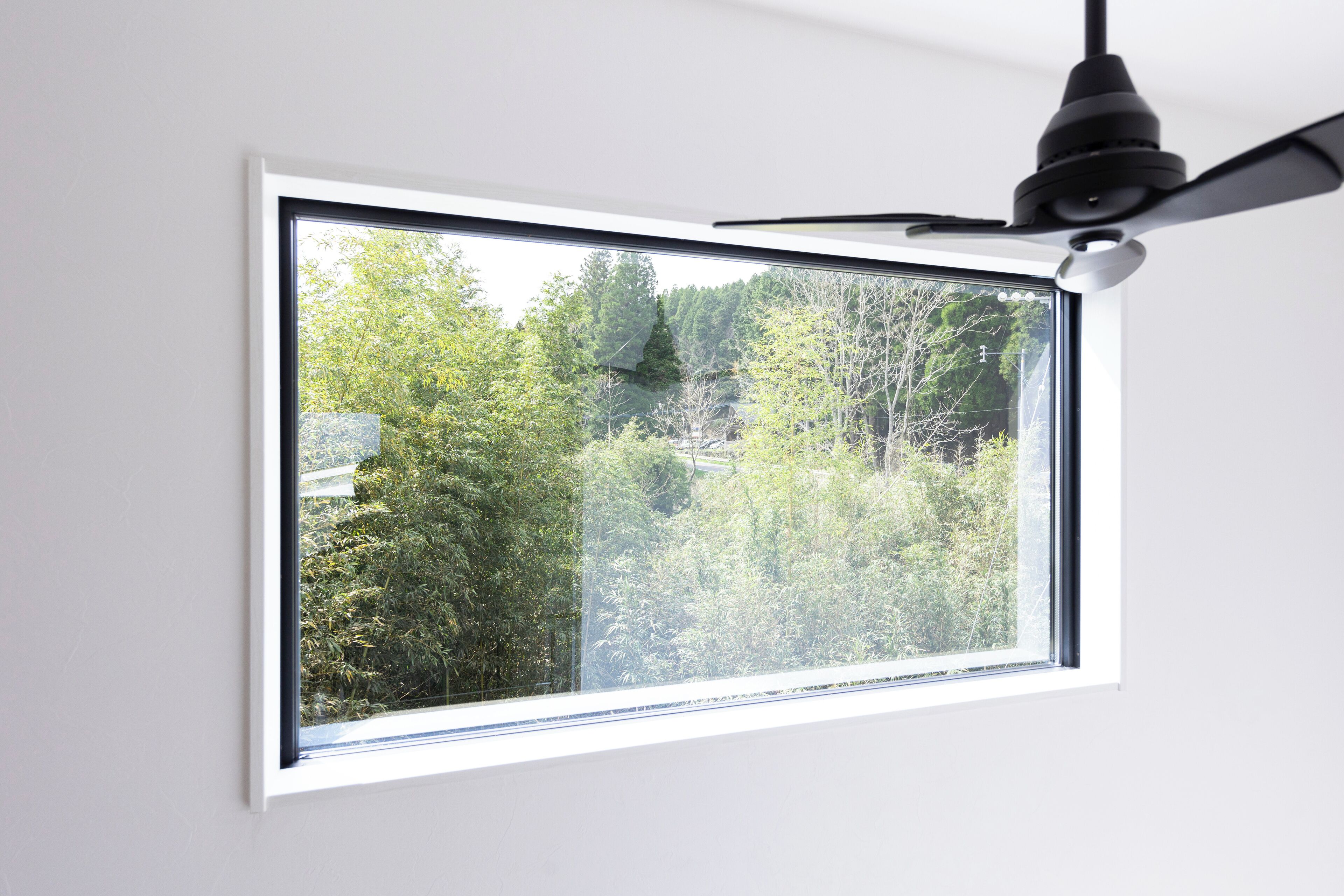 A window with a view of dense forest and a rocky outcrop.
