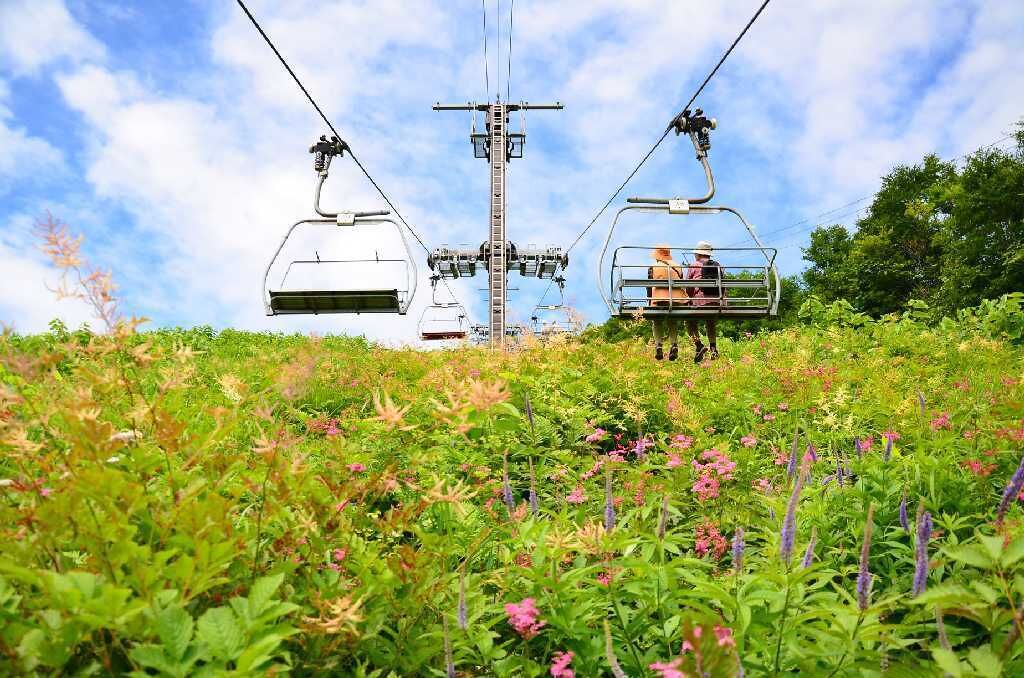 A cable car system with passengers, set against a backdrop of lush greenery and a clear sky.