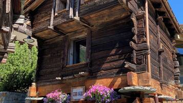 Esterni