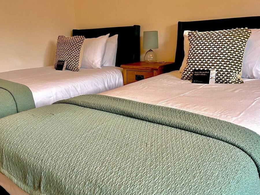 Deluxe Twin Room | Free WiFi, bed sheets