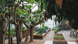 A greenhouse with various plants and trees, wooden raised beds, and a gravel path. - Quinta da Carlota (Torres Vedras)