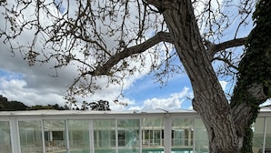 An outdoor patio with a round table and stools, surrounded by a brick floor and a large tree. - Quinta da Carlota (Torres Vedras)