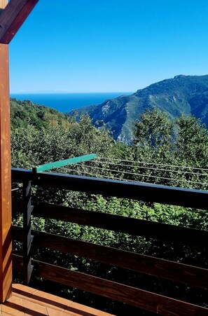 Property grounds - Bee Freeride Biker house (Magliolo)