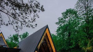 A modern house with a sloped roof, a swimming pool, and outdoor furniture. - Sapanca Pine Life (Sapanca)