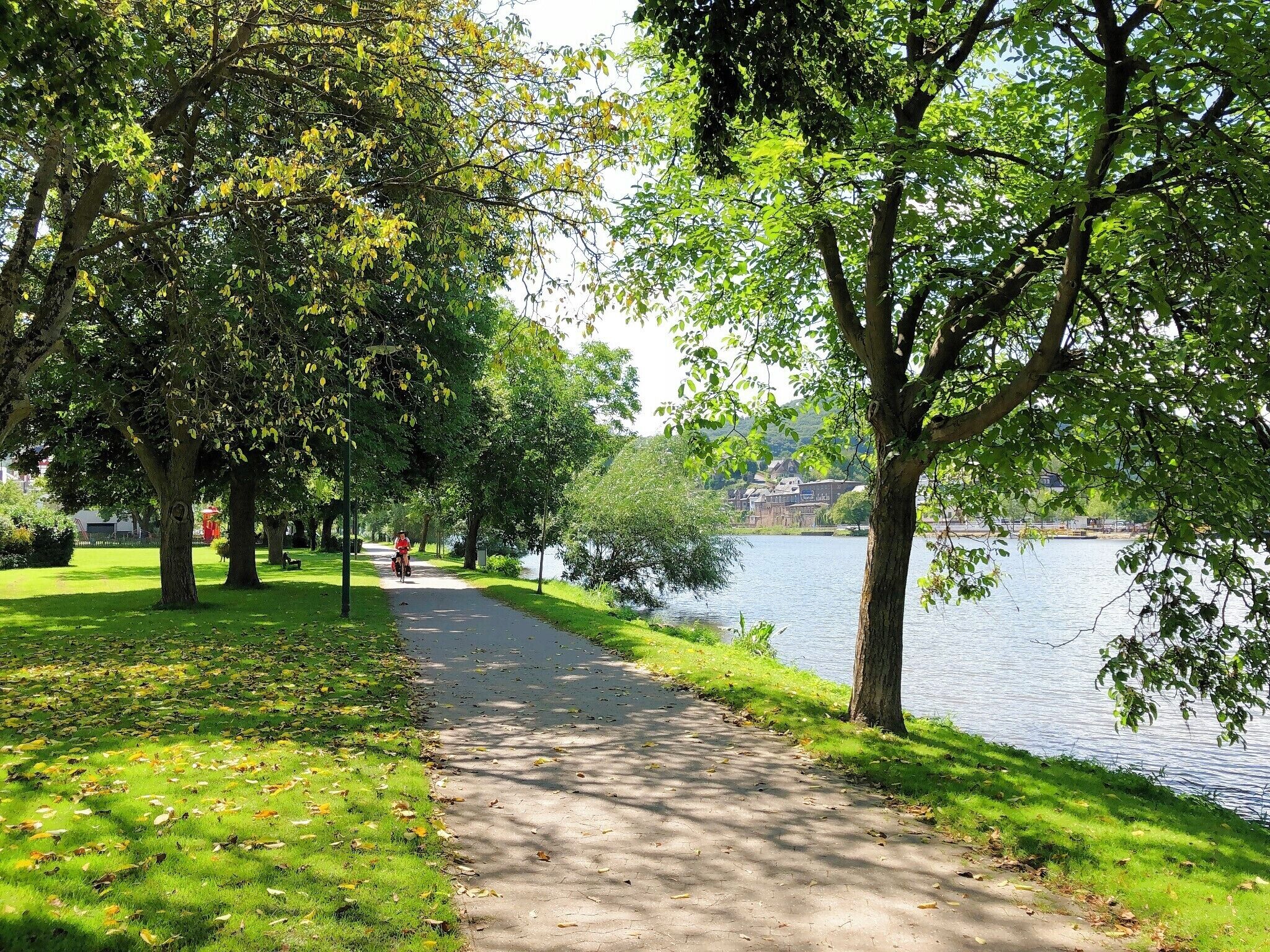 A paved pathway alongside a lake with trees on both sides, leading to a building in the distance.