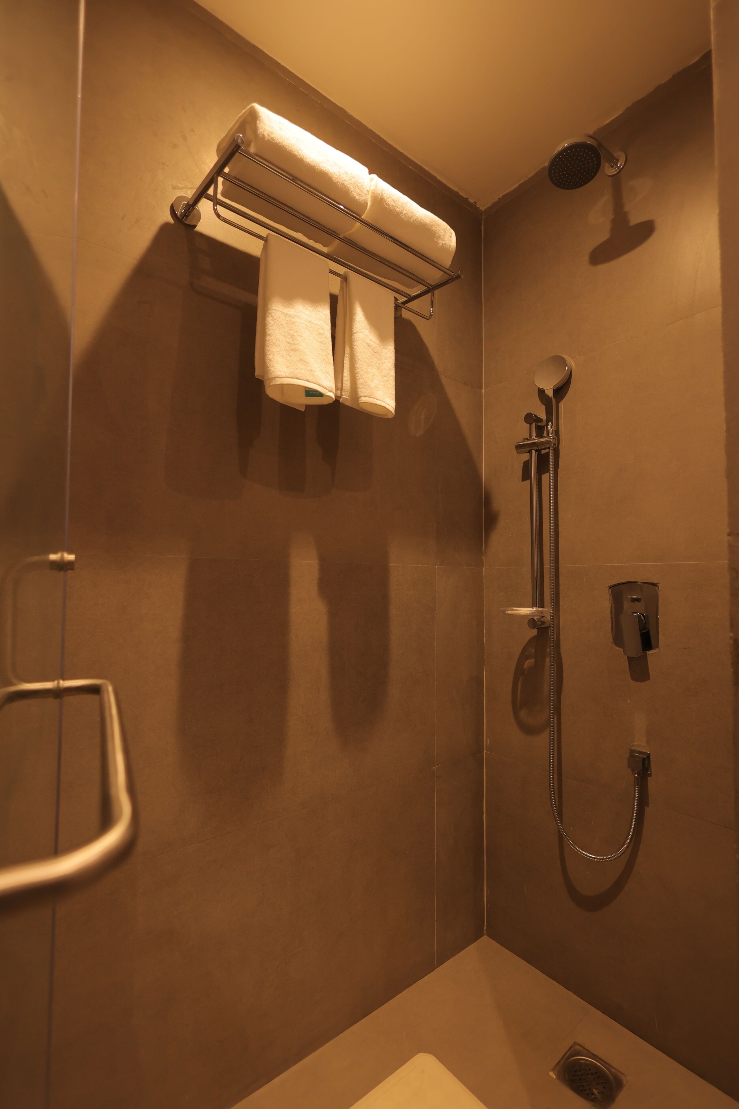 A shower area with a handheld showerhead, a towel rack with towels, and a wall-mounted control panel.