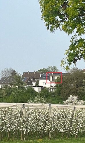 Área da propriedade