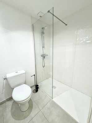 Shower, hair dryer, toilet paper