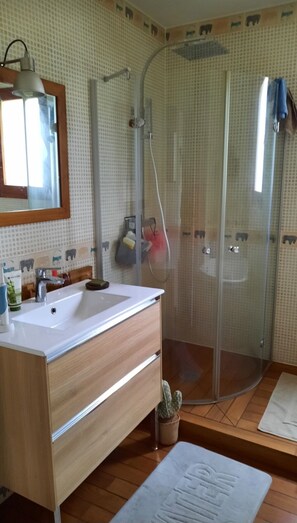 Shower, hair dryer, towels, soap