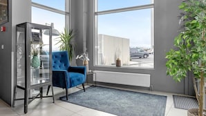 Une pièce moderne avec de grandes fenêtres, un fauteuil bleu, une vitrine et une plante en pot.