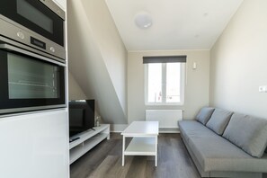 Fernseher, Arbeitsbereiche