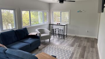 Smart TV, fireplace, books