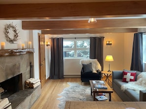 TV connectée, cheminée, livres, chaßne hi-fi