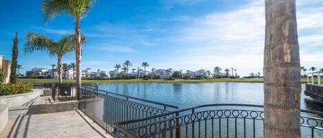A waterfront promenade with a metal railing, palm trees, and a view of buildings across the water.