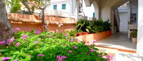 公寓, 1 间卧室, 露台 | 露台