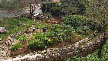 Room, 1 Bedroom, Smoking, Balcony | Property grounds